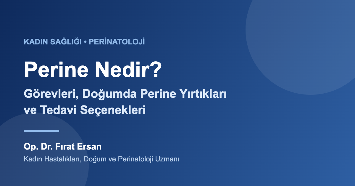 Perine bölgesi anatomisi ve pelvik taban – Op. Dr. Fırat Ersan